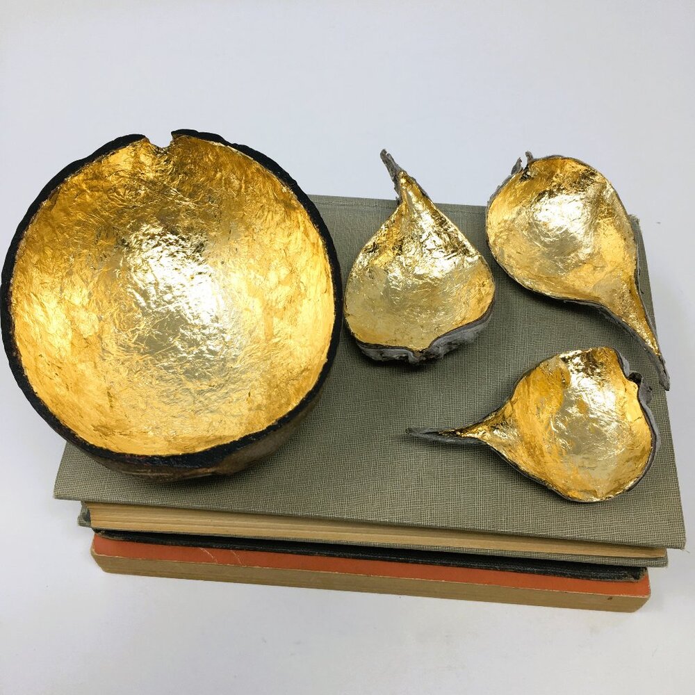 Gold Leaf Coconut Shell Bowl Three Dried Milkweed Pods Botanical Specimens Decor